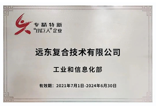 遠東復(fù)合技術(shù)專精特新小巨人企業(yè)