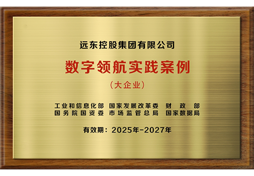 大企業(yè)數字領航實踐案例